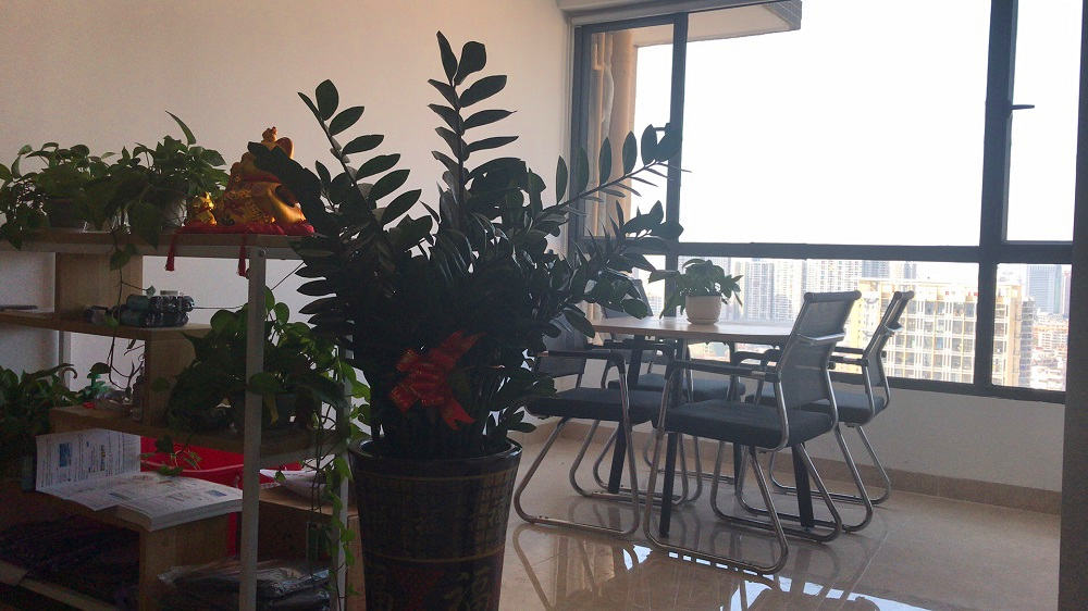 外貿(mào)網(wǎng)站建設(shè)